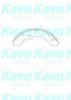 KAVO PARTS BS-3918 Brake Shoe Set